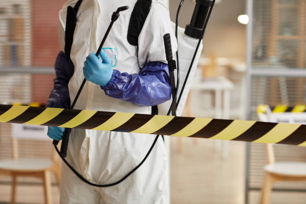 Professional Sewage Cleanup technician working in Holland, OH